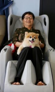 How Much Do Massage Chairs Cost? A Crap Ton. But, the best massage chairs are totally worth it. You should buy one today!